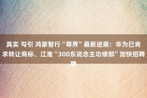 真实 勾引 鸿蒙智行“尊界”最新进展：华为已肯求转让商标、江淮“300东说念主功绩部”加快招聘