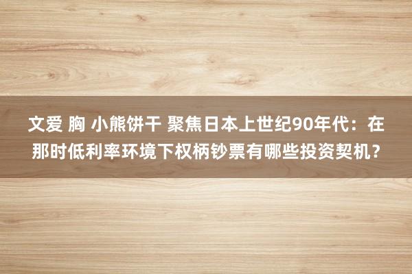 文爱 胸 小熊饼干 聚焦日本上世纪90年代：在那时低利率环境下权柄钞票有哪些投资契机？