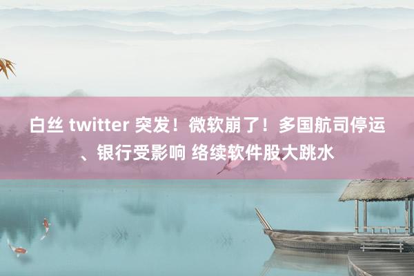 白丝 twitter 突发！微软崩了！多国航司停运、银行受影响 络续软件股大跳水