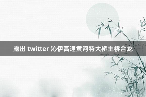 露出 twitter 沁伊高速黄河特大桥主桥合龙
