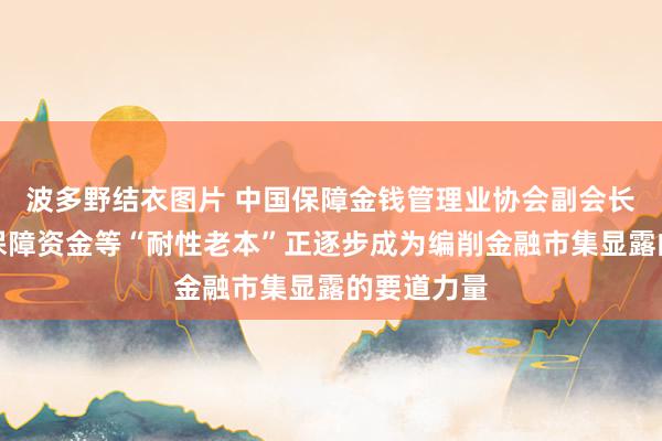 波多野结衣图片 中国保障金钱管理业协会副会长曹德云：保障资金等“耐性老本”正逐步成为编削金融市集显露的要道力量