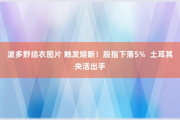 波多野结衣图片 触发熔断！股指下落5%  土耳其央活出手